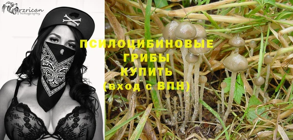 прущие крисы Покровск