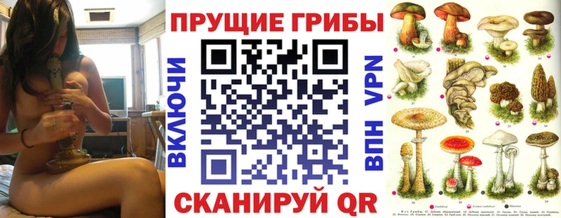 Псилоцибиновые грибы Cubensis  хочу наркоту  mega зеркало  Белогорск 